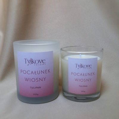 Tulipan - Pocałunek wiosny